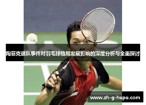 陶菲克退队事件对羽毛球格局发展影响的深度分析与全面探讨