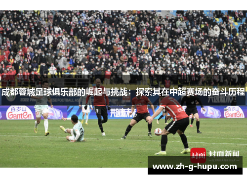 成都蓉城足球俱乐部的崛起与挑战：探索其在中超赛场的奋斗历程