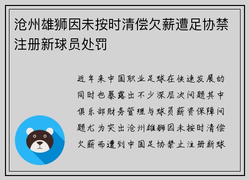 沧州雄狮因未按时清偿欠薪遭足协禁注册新球员处罚