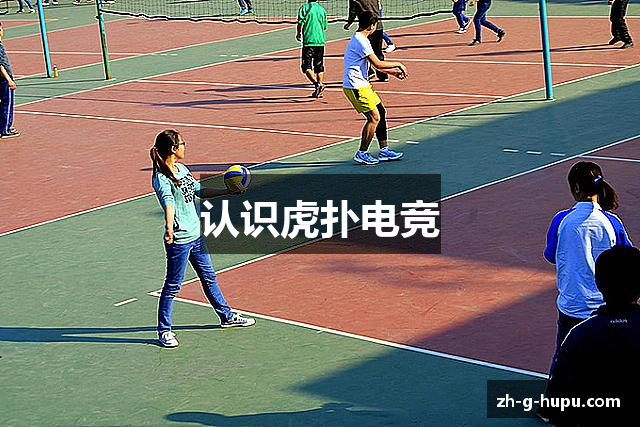 认识虎扑电竞
